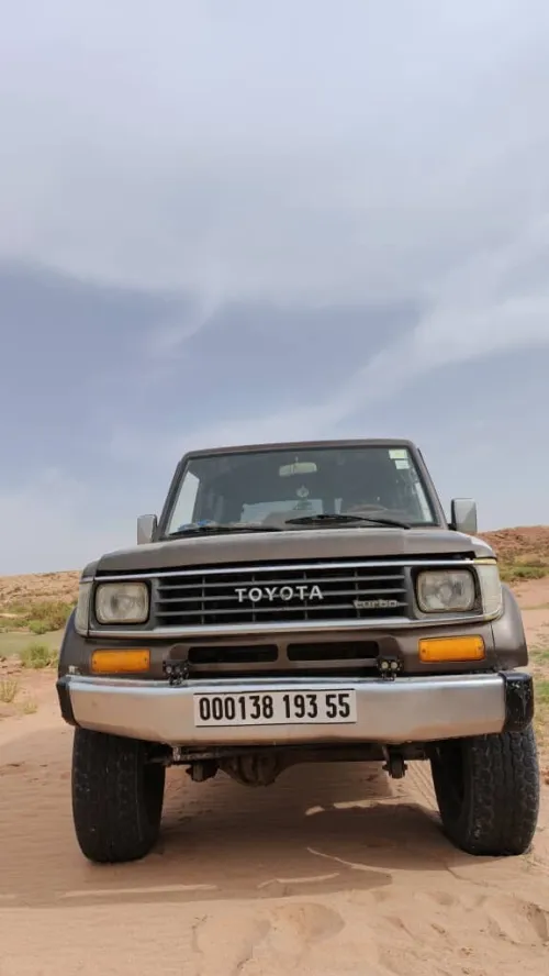 Toyota Land Cruiser 1993 Court
