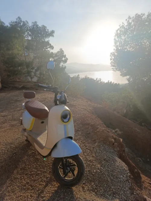 Walido Scooter électrique 2025