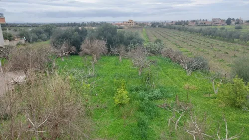 Vente Blida Bougara
