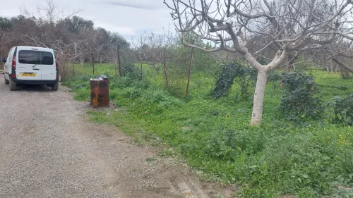 Vente Blida Bougara