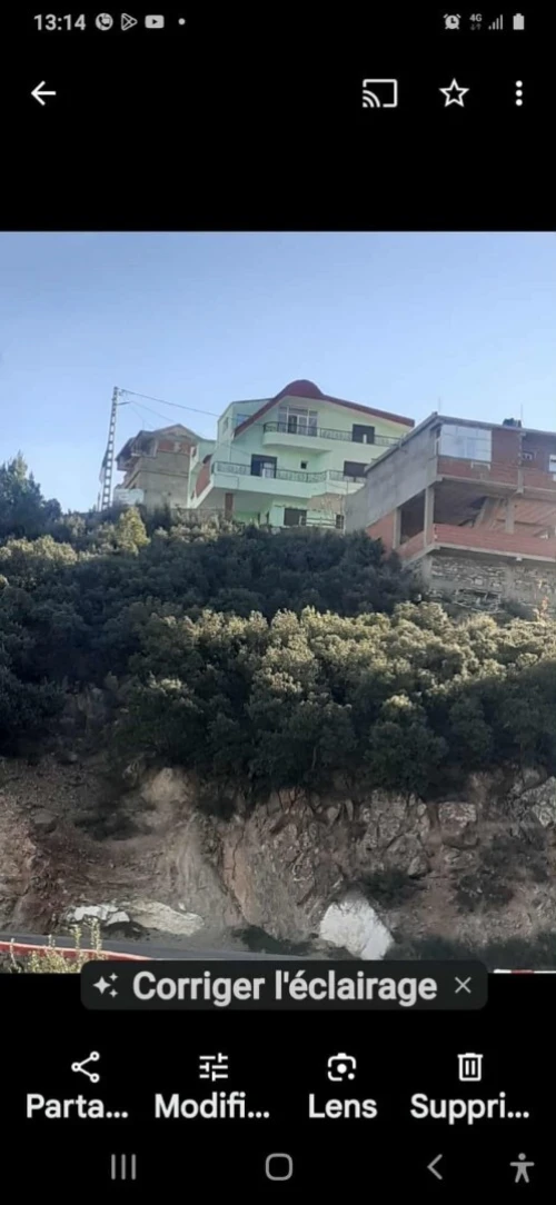 Vente Terrain Sétif Guenzet