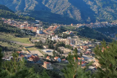 Vente Terrain Sétif Harbil