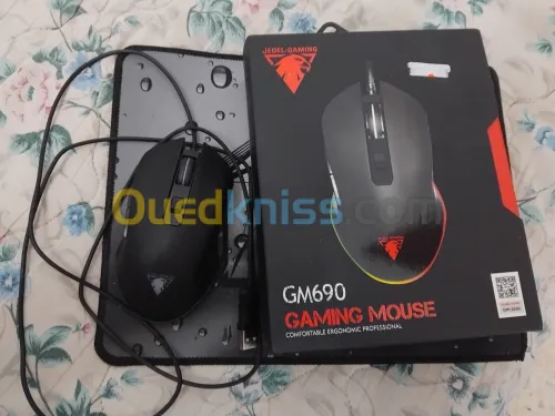 Souris Gamaing 