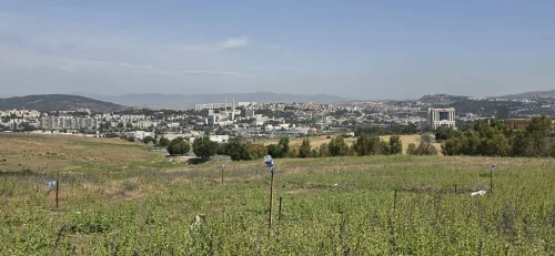 Vente Terrain Constantine Constantine