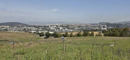 Vente Terrain Constantine Constantine