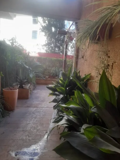 Location Appartement Duplex F6 Alger Ouled fayet