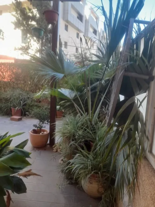 Location Appartement Duplex F6 Alger Ouled fayet