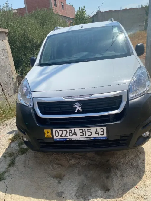 Peugeot B9 2015 B9