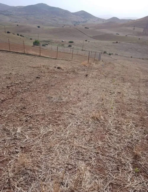 Vente Terrain Agricole Aïn Defla Bordj emir khaled chikh