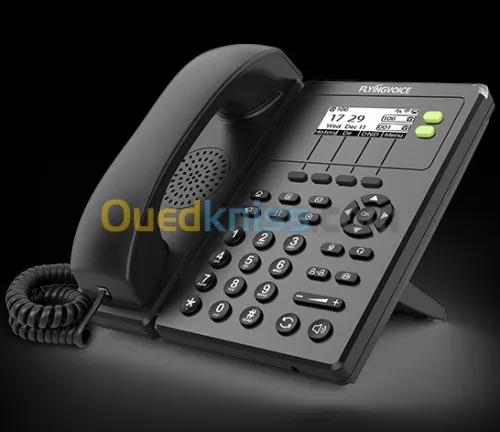 TELEPHONE  IP PHONE ( Voip Ipbx ) FLYINGVOICE FIP10 WiFi 2.4 GHz - 2 Lignes SIP - 2*10/100M