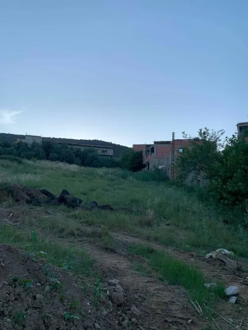 Vente Terrain Boumerdès Beni amrane