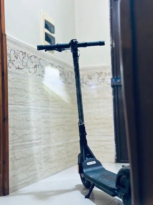 Sceptre Électrique 