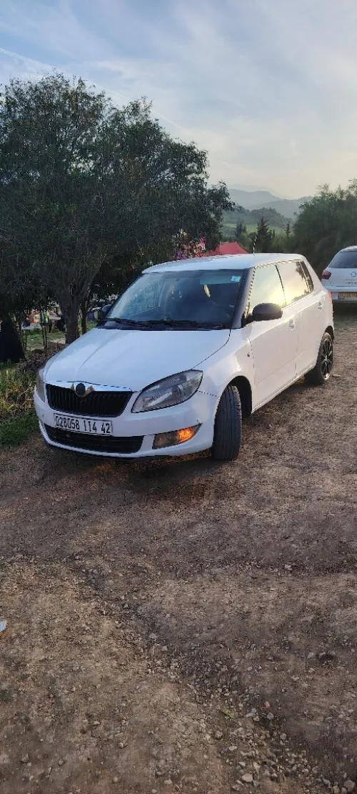 Skoda Fabia 2014 Visage