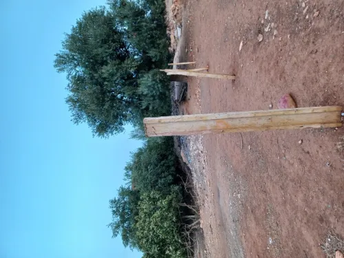 Vente Terrain Bouira El asnam