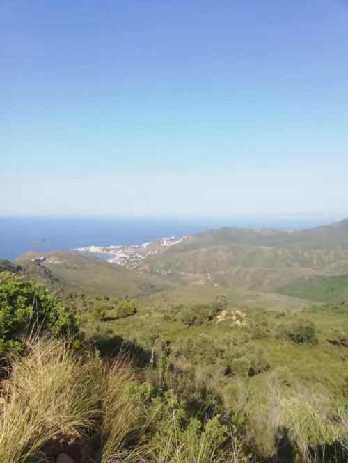 Vente Terrain Béjaïa Bejaia