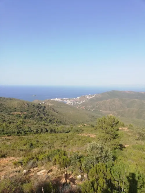 Vente Terrain Béjaïa Bejaia
