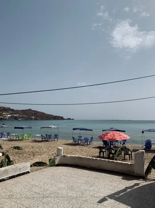 Location Local Oran Ain el turck