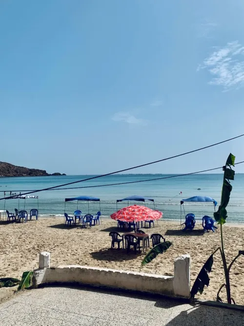 Location Local Oran Ain el turck