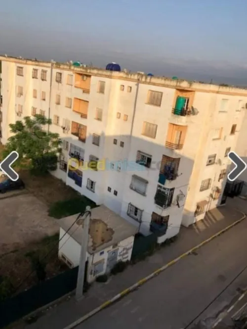 Vente Villa Alger Les eucalyptus