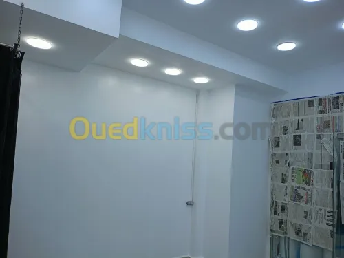 صباغ peintre محترف في مجال صباغة ويكورات المنازل والفنادق والعمارات
