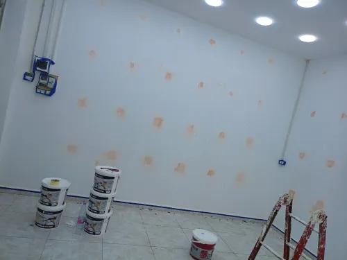 صباغة وديكور منازل وفنادق وعمارات 