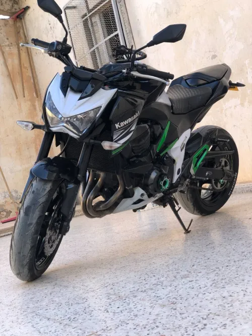 Z800 2013 2013