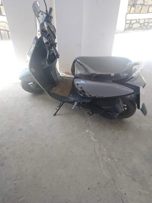 VMS Estate x 2023