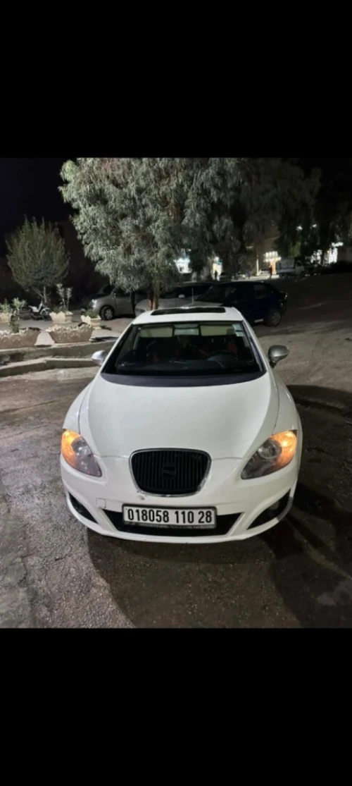 Seat Leon 2010 Leon