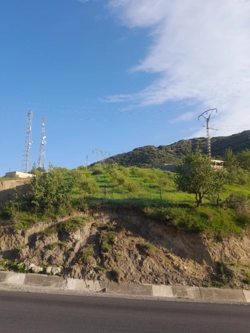Vente Terrain Béjaïa Kherrata