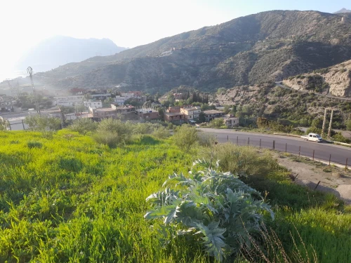 Vente Terrain Béjaïa Kherrata
