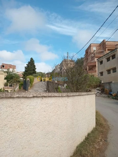Vente Terrain Alger Bouzareah
