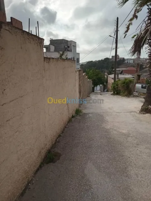 Vente Terrain Alger Bouzareah