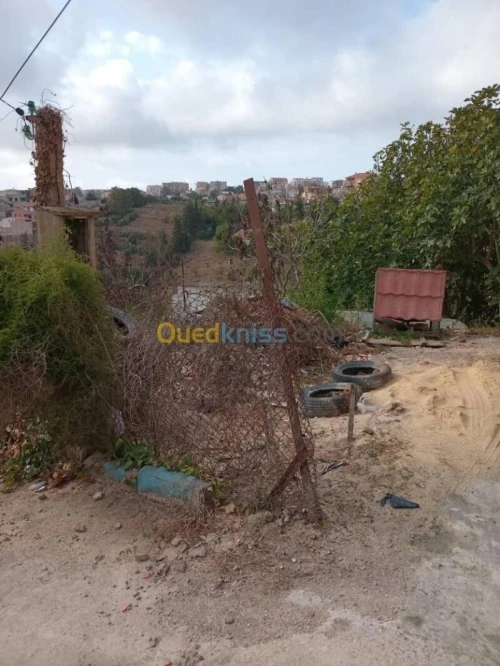 Vente Terrain Alger Bouzareah