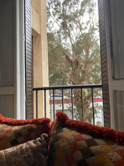 Vente Appartement F3 Alger El mouradia