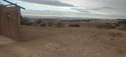 Vente Terrain Agricole Tlemcen Amieur
