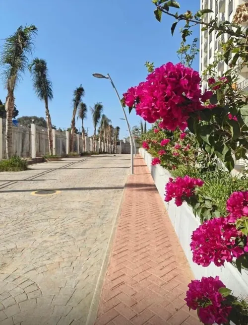 Vente Appartement Tipaza Kolea