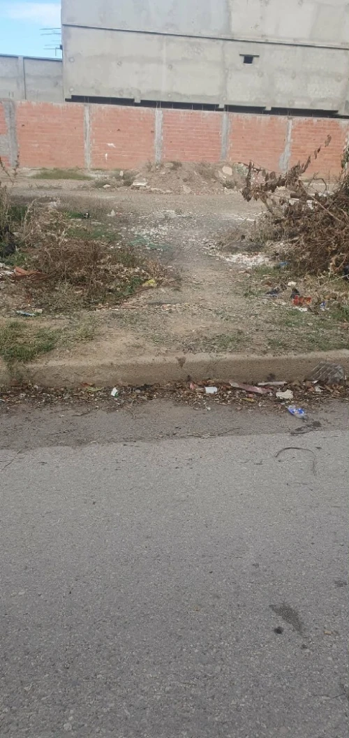 Vente Terrain Blida Blida