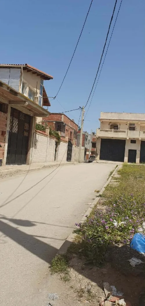 Vente Terrain Blida Blida