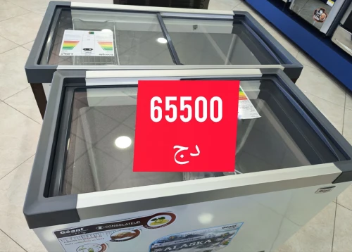 Congélateur Marque Géant Vitré 254L