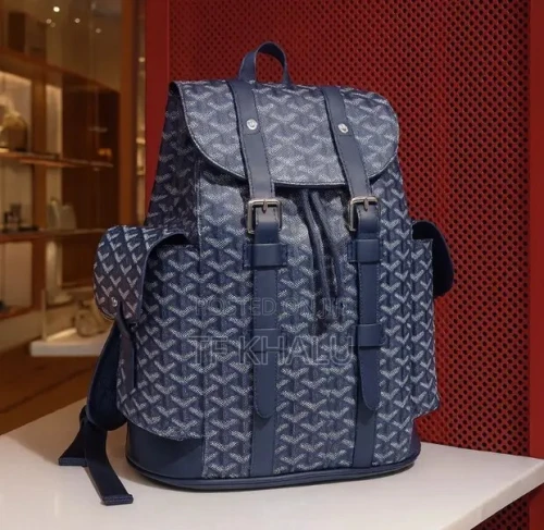 Goyard Alpin Mm Backpack in Accra Metropolitan Bags