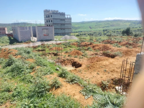 Vente Terrain Skikda Sidi mezghiche