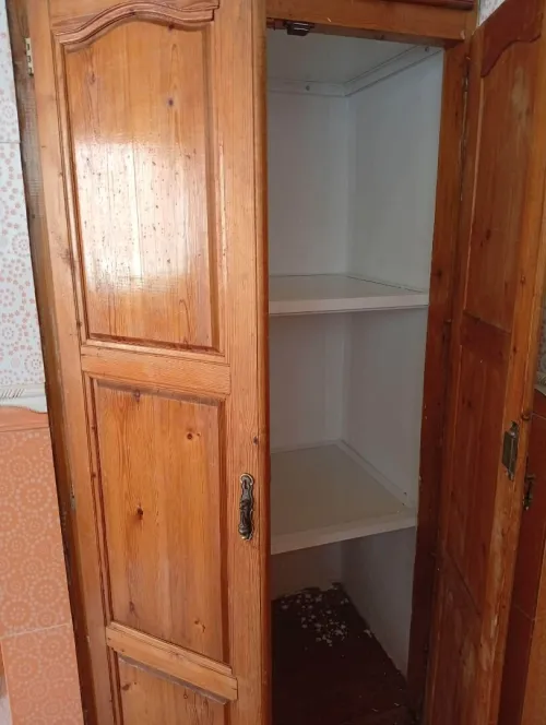 Location Villa Alger Les eucalyptus