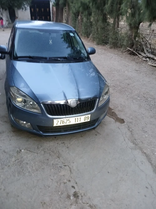 Skoda Fabia 2011 5