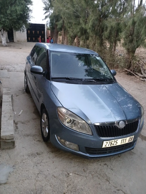 Skoda Fabia 2011 4