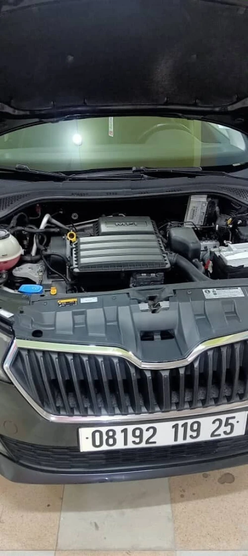 Skoda Fabia 2019 Fresh