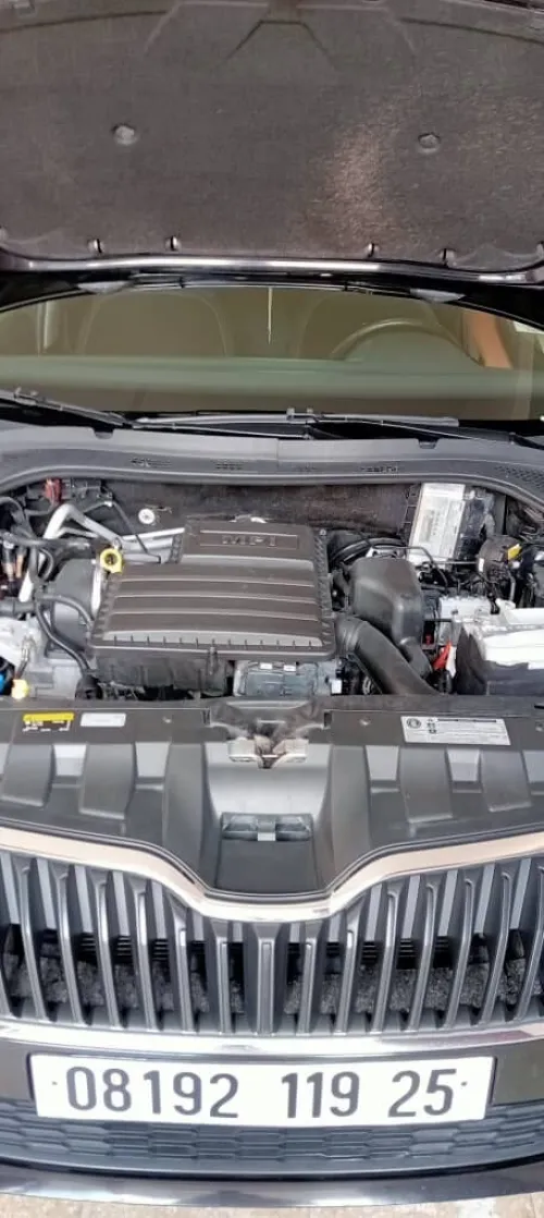 Skoda Fabia 2019 Fresh