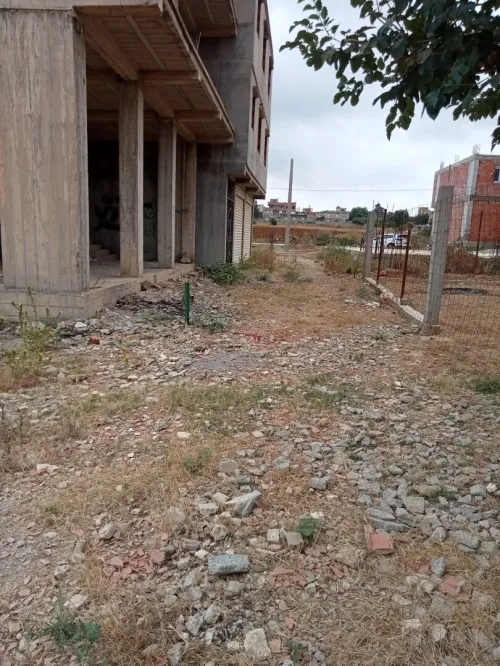 Vente Terrain Boumerdès Ouled moussa
