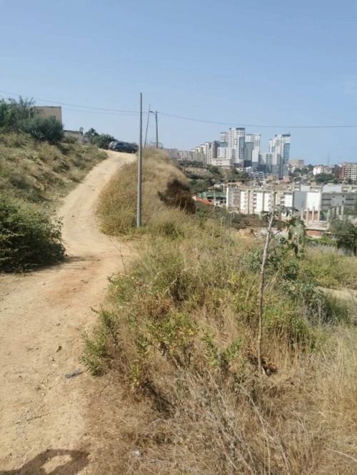 Vente Terrain Alger Saoula