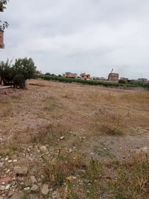 Vente Terrain Boumerdès Ouled moussa