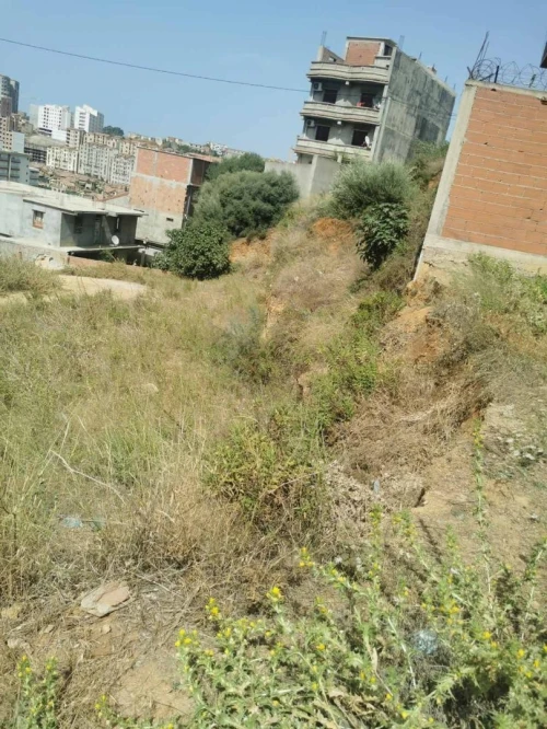 Vente Terrain Alger Saoula